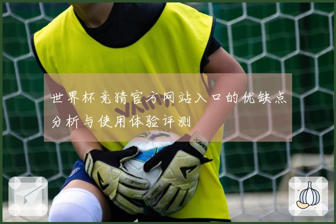世界杯竞猜官方网站入口的优缺点分析与使用体验评测