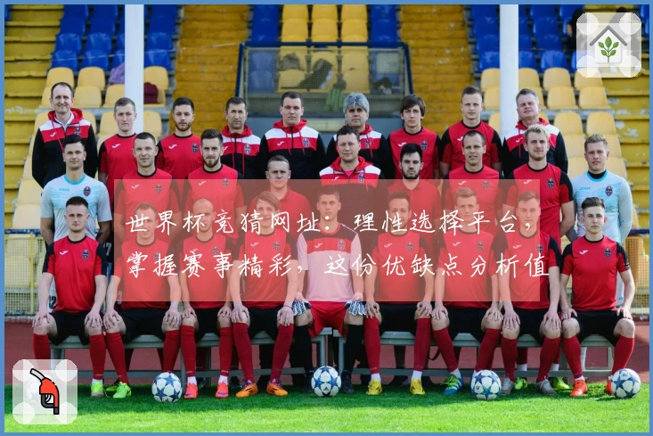世界杯竞猜网址：理性选择平台，掌握赛事精彩，这份优缺点分析值得参考