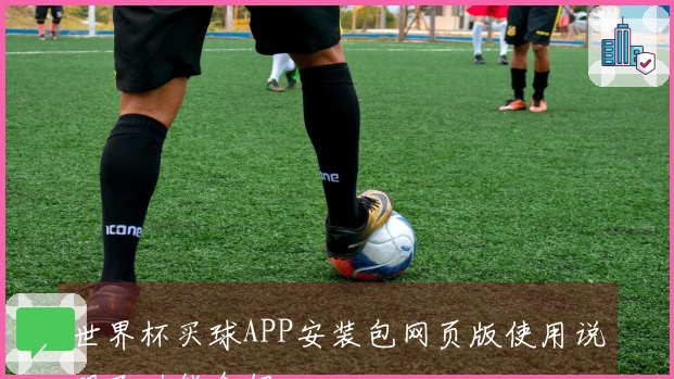 世界杯买球APP安装包网页版使用说明及功能介绍