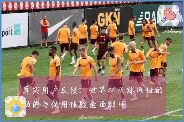 真实用户反馈：世界杯买球网址的功能与使用体验全面测评
