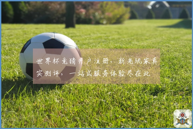 世界杯竞猜开户注册，新老玩家真实测评，一站式服务体验尽在此