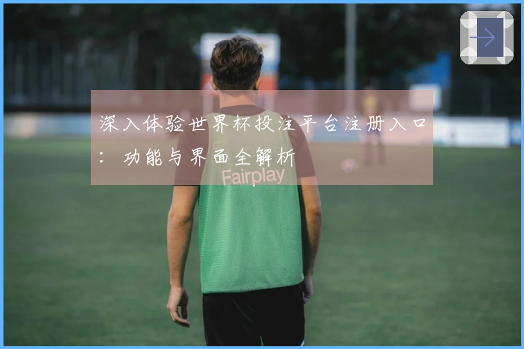 深入体验世界杯投注平台注册入口：功能与界面全解析