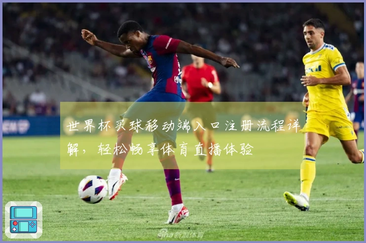 世界杯买球移动端入口注册流程详解，轻松畅享体育直播体验