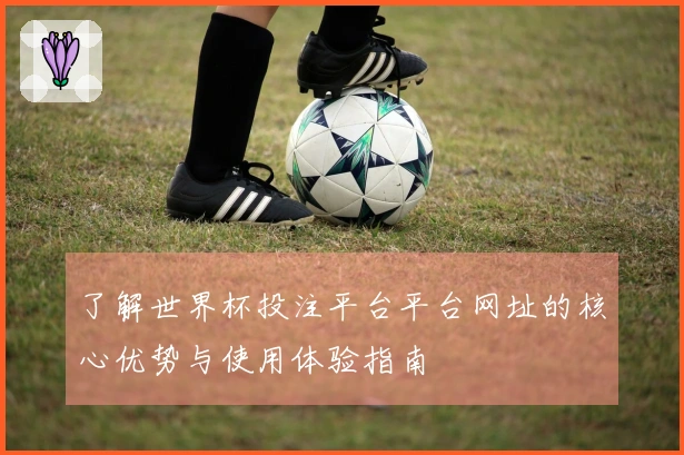 了解世界杯投注平台平台网址的核心优势与使用体验指南