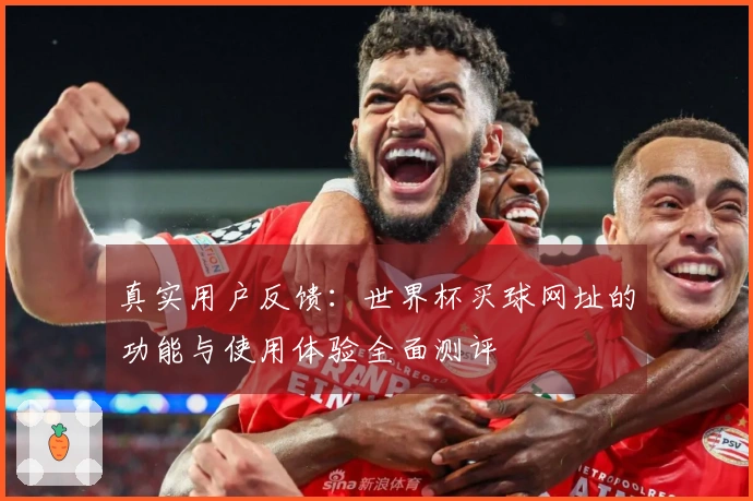 真实用户反馈：世界杯买球网址的功能与使用体验全面测评