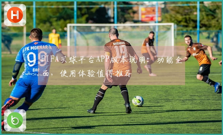 FIFA买球平台APP版本说明：功能全面，使用体验值得推荐
