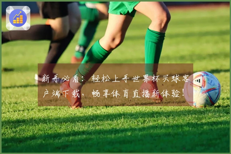 新手必看：轻松上手世界杯买球客户端下载，畅享体育直播新体验！