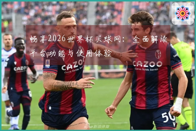 畅享2026世界杯买球网：全面解读平台功能与使用体验
