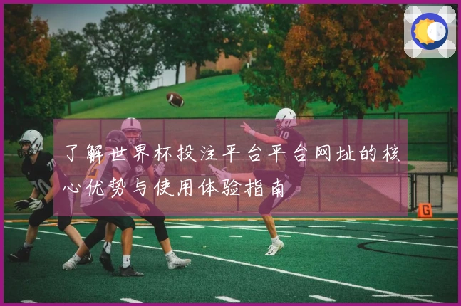 了解世界杯投注平台平台网址的核心优势与使用体验指南