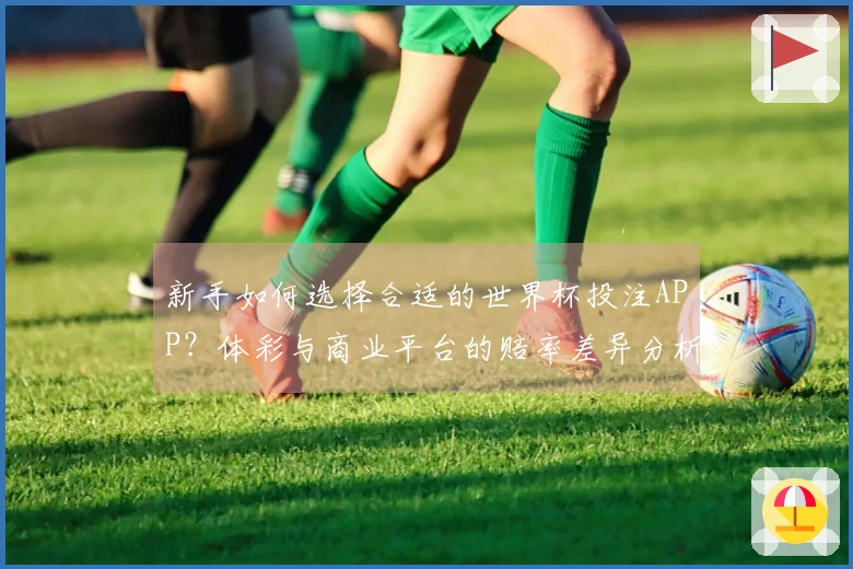 新手如何选择合适的世界杯投注APP？体彩与商业平台的赔率差异分析