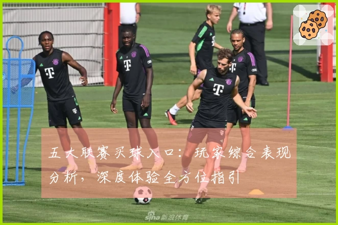 五大联赛买球入口：玩家综合表现分析，深度体验全方位指引