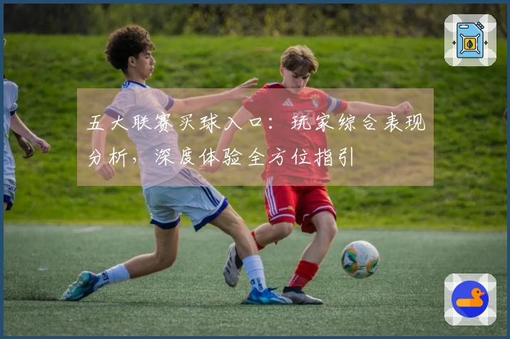 五大联赛买球入口：玩家综合表现分析，深度体验全方位指引