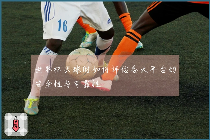 世界杯买球时如何评估各大平台的安全性与可靠性